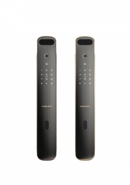 ЭЛЕКТРОННЫЙ ДВЕРНОЙ ЗАМОК С РАСПОЗНАВАНИЕМ ЛИЦА KAADAS K19F GOLD FACE  ID